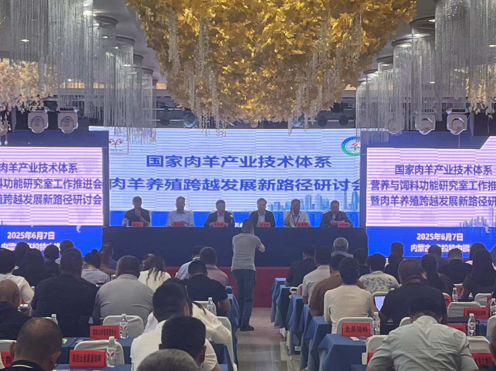 聚焦肉羊养殖核心问题 共商养殖发展新路径