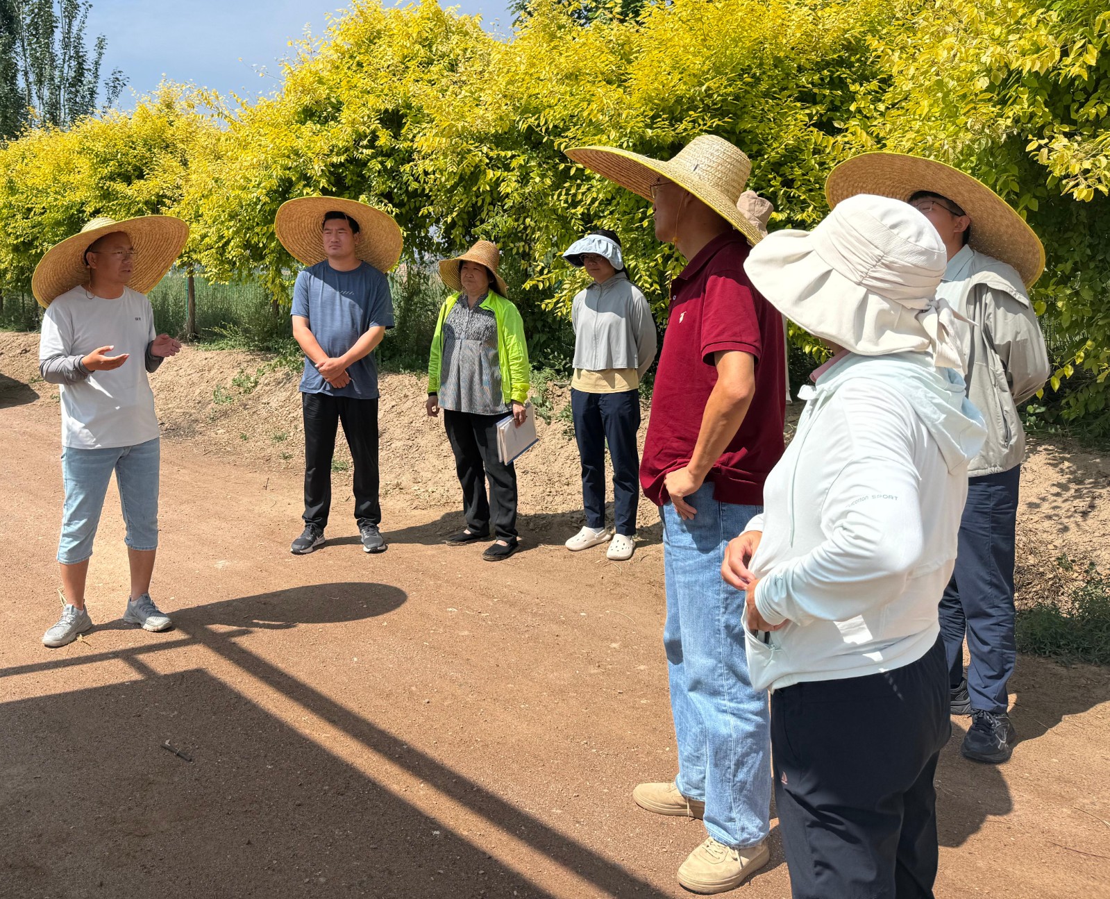 中科院遗传与发育生物学研究所刘志勇研究员团队考察指导巴彦淖尔市春小麦育种