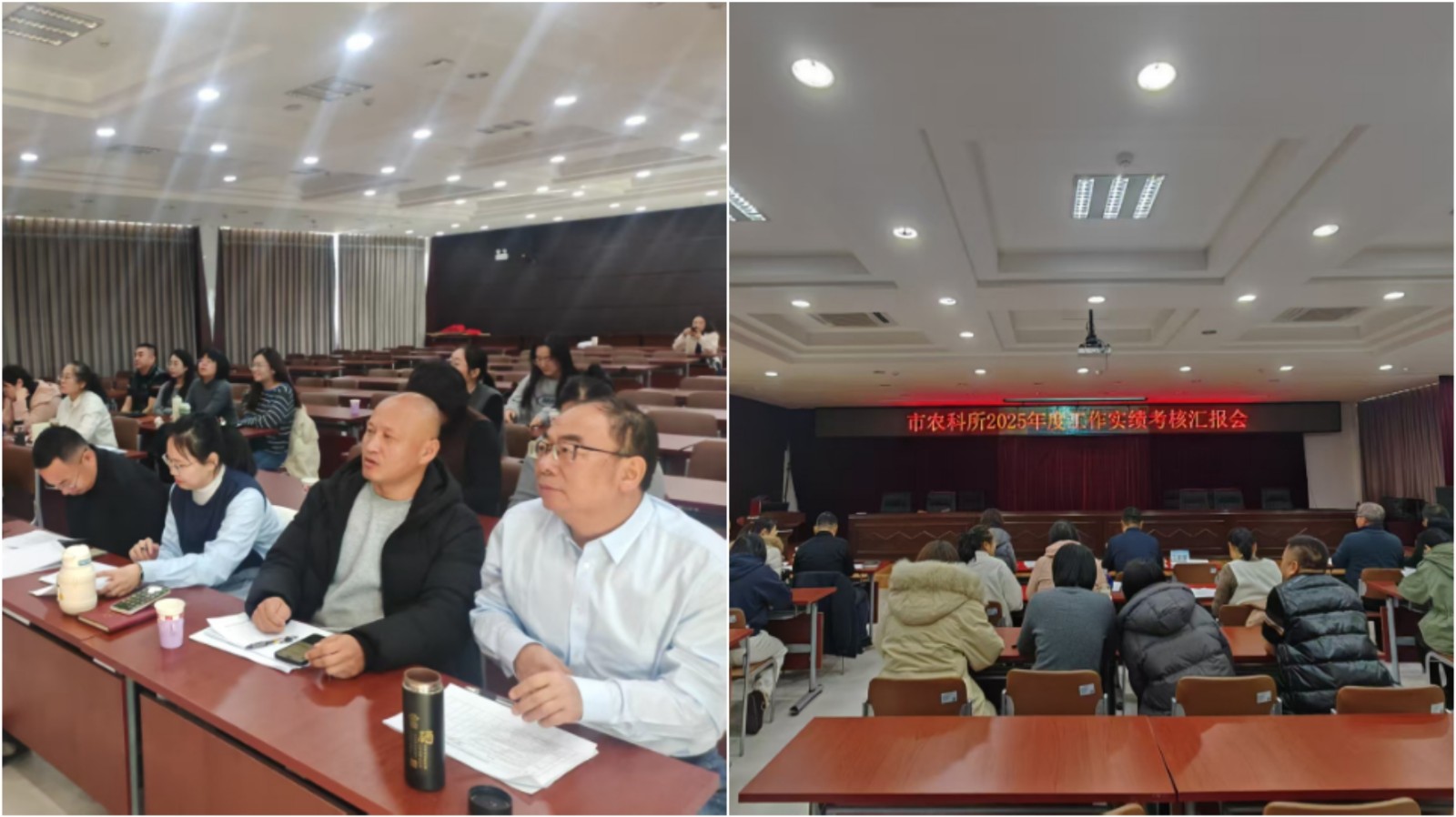 亮实绩 谋新篇：市农科所2025年度工作汇报