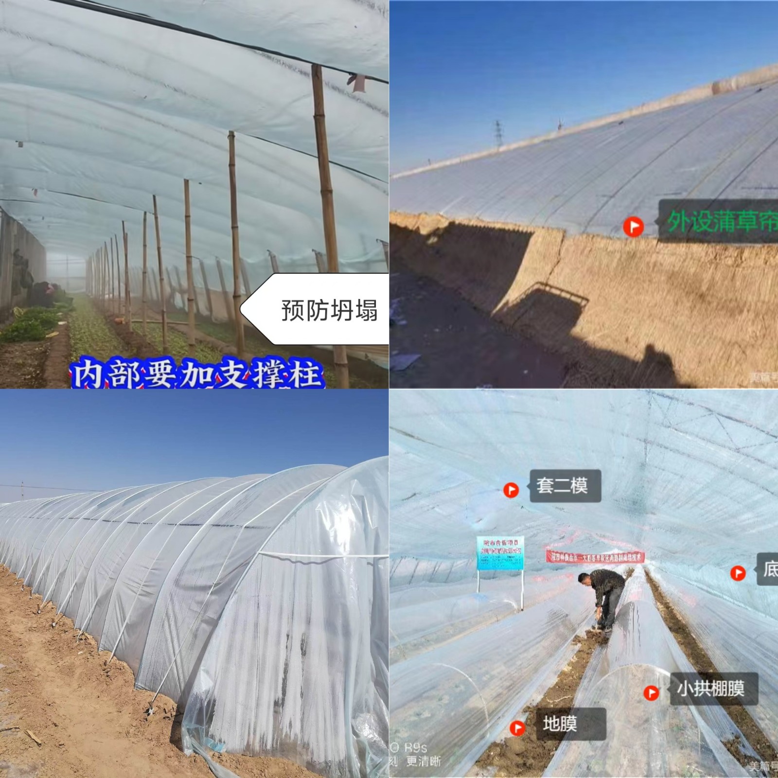 加强设施农业应对降雪降温天气的防护措施