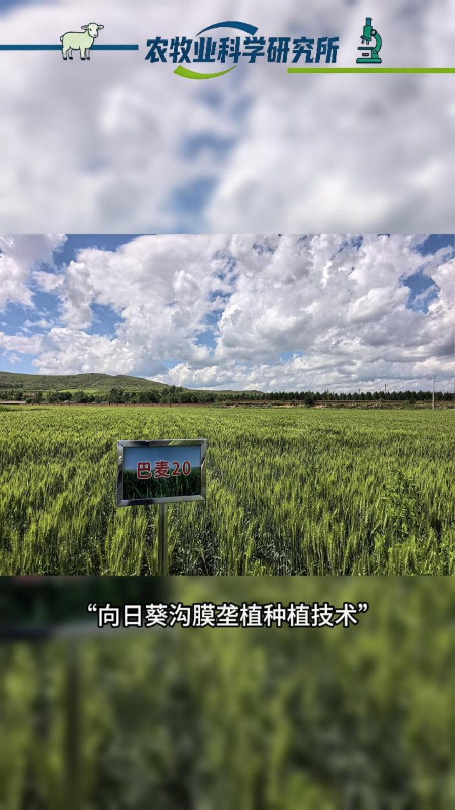 “蒙农创”科技110