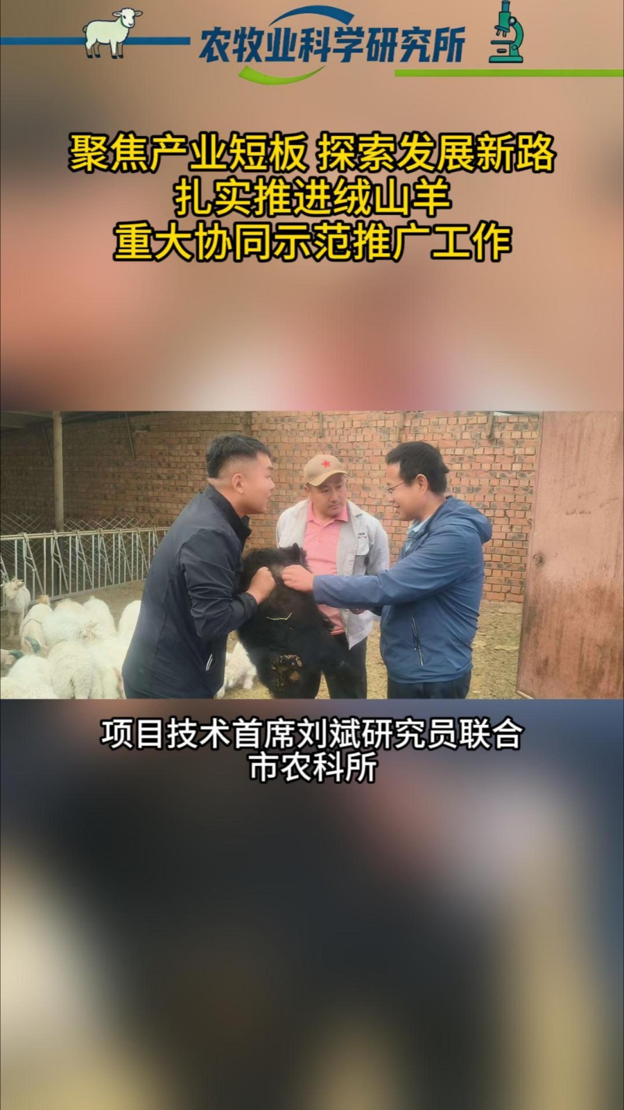 聚焦产业短板 探索发展新路 扎实推进绒山羊重大协同示范推