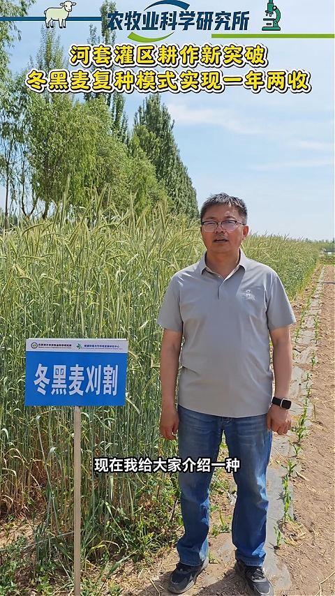 河套灌区耕作新突破 冬黑麦复种模式实现一年两收